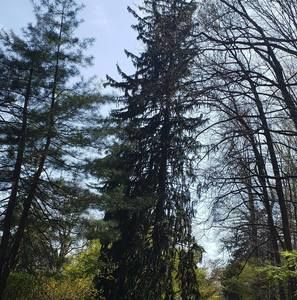 Meet your Posher, Marzena